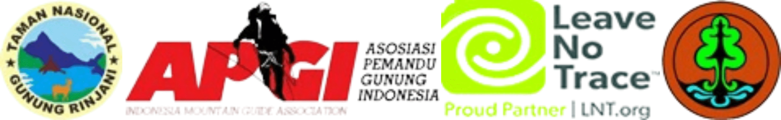 Logo TNGR